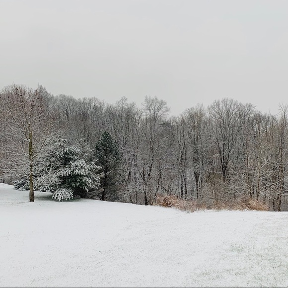 Meet your Posher, Gem - Picture 1 of 1